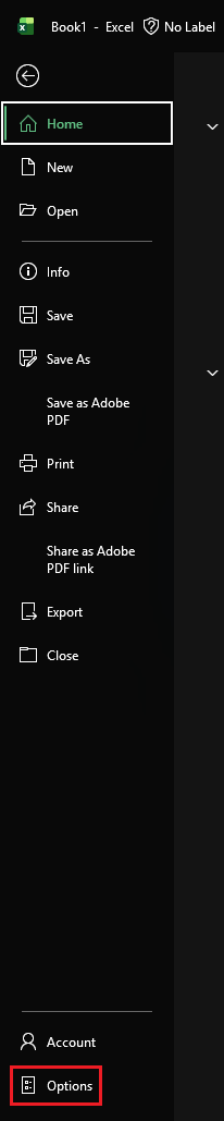 Excel-CSV-Options.png